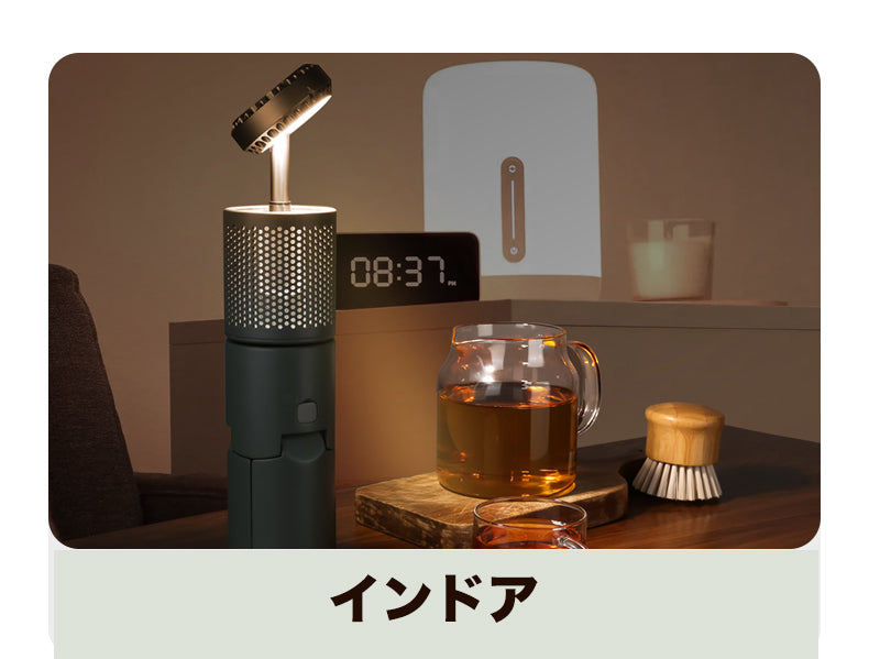 アドベチャーランプ(入荷しました)