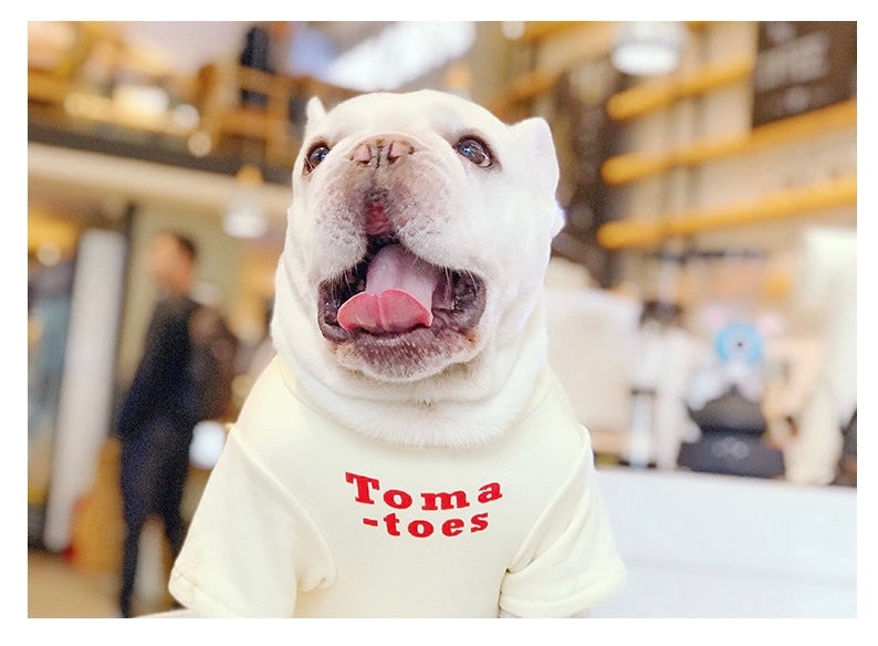 Tomatoes犬服