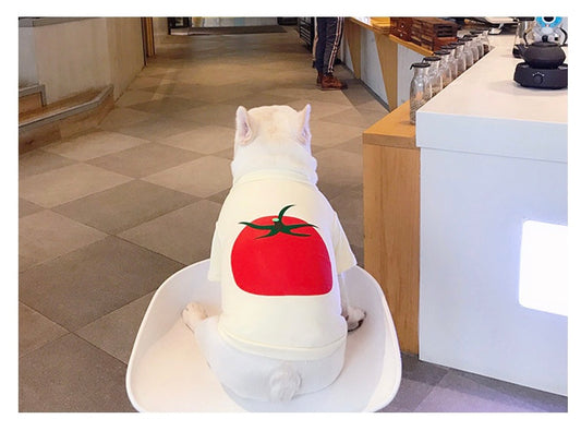 Tomatoes犬服