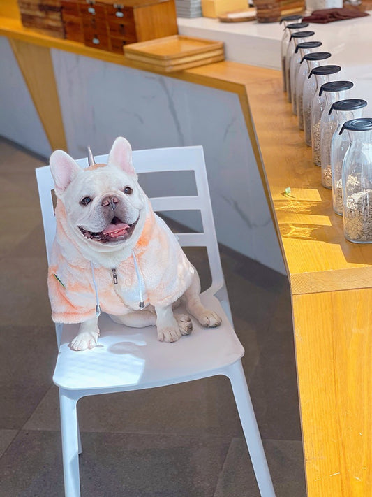 モコモコユニコーン犬用コート