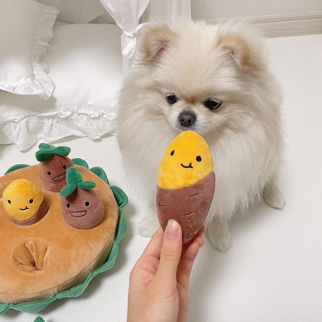 犬用さつまいも掘りおもちゃ